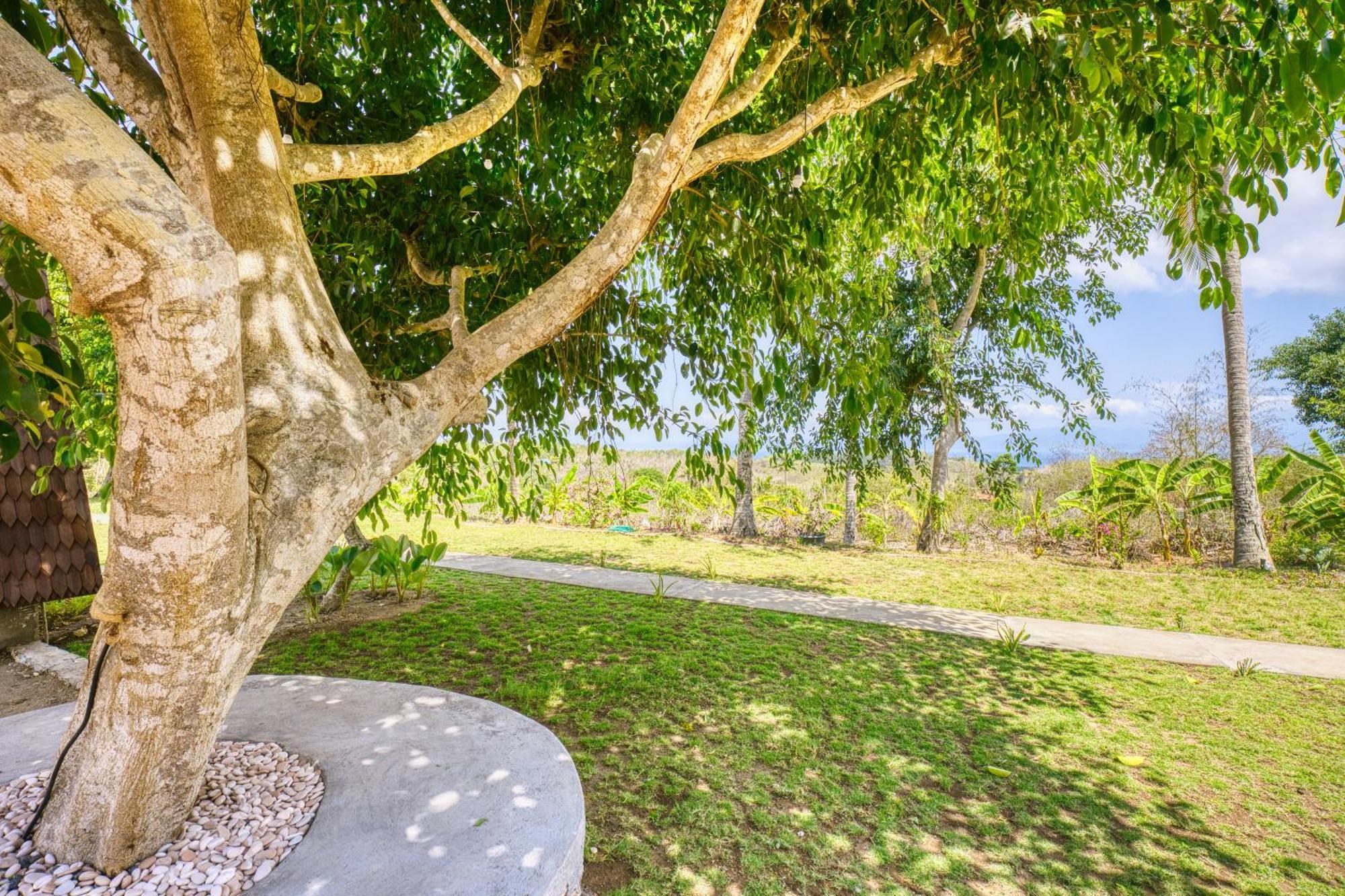 Nature Hill Penida Toyapakeh 外观 照片